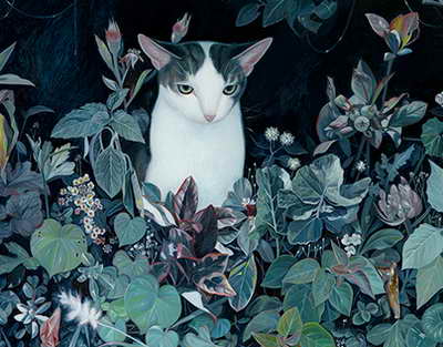 5500 illik skelet Amerikada zöhrəvi xəstəliyin mənşəyini təsdiqlədi