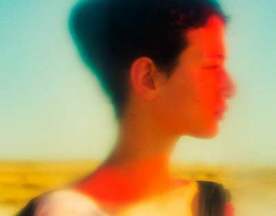 Захист DPF-фільтра та присадка Diesel Partikelfilter Schutz від LIQUI MOLY